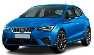 Seat Ibiza or similar