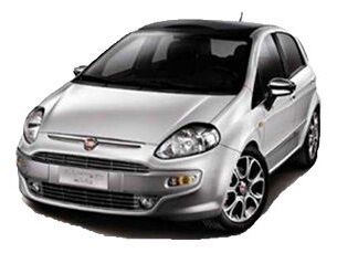 Fiat Punto, Seat Ibiza