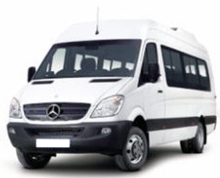 Mercedes Sprinter 9 seater van, or similar