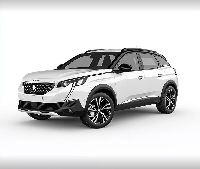 PEUGEOT3008