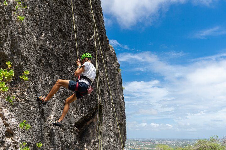 Half Or Full Day Climbing Trip At The Tafelberg Cura Ao