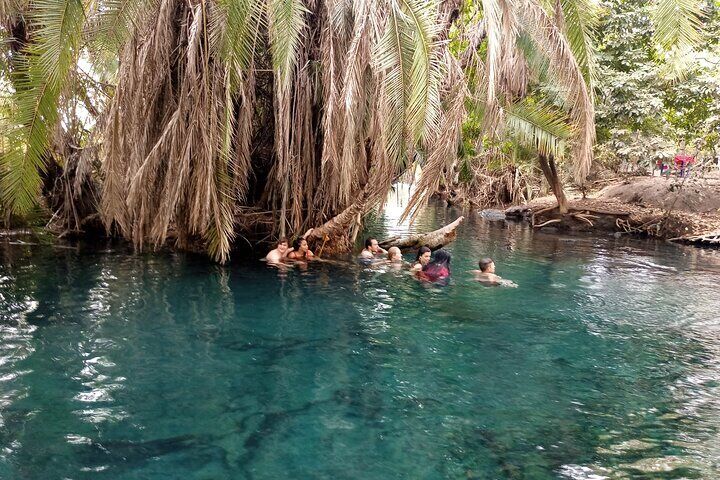 Private Tour To Materuni Waterfalls Coffee Tour Kikuletwa Hot Springs