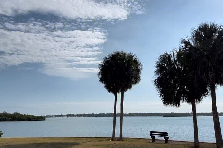 Hour Guided Kayak Tour In Boca Ciega Bay St Pete