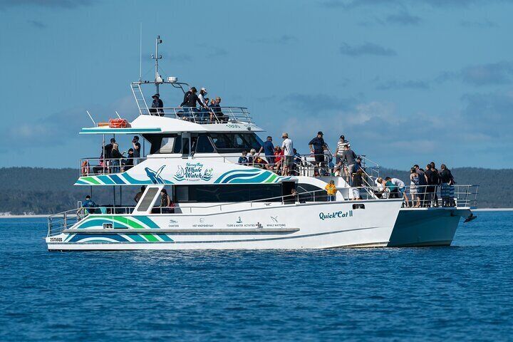 Hervey Bay Best Value Half Day Whale Watching Cruise