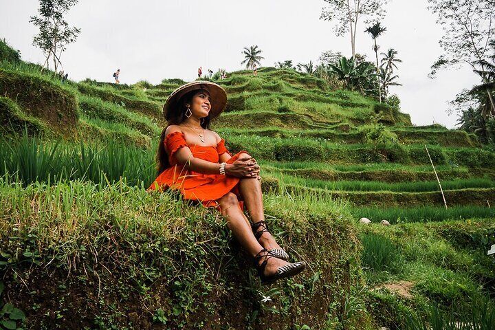 Ubud Day Trip Monkey Forest Temple Rice Terrace Waterfall