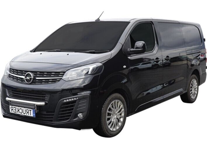 Opel Vivaro 9 seater or similar