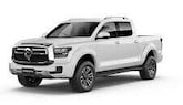GWM P Series