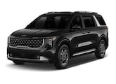 Kia Carnival or similar