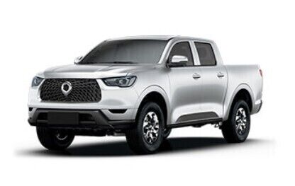 GW Poer 2WD or similar