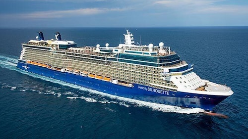 Celebrity Silhouette