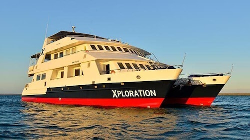 Celebrity Xploration