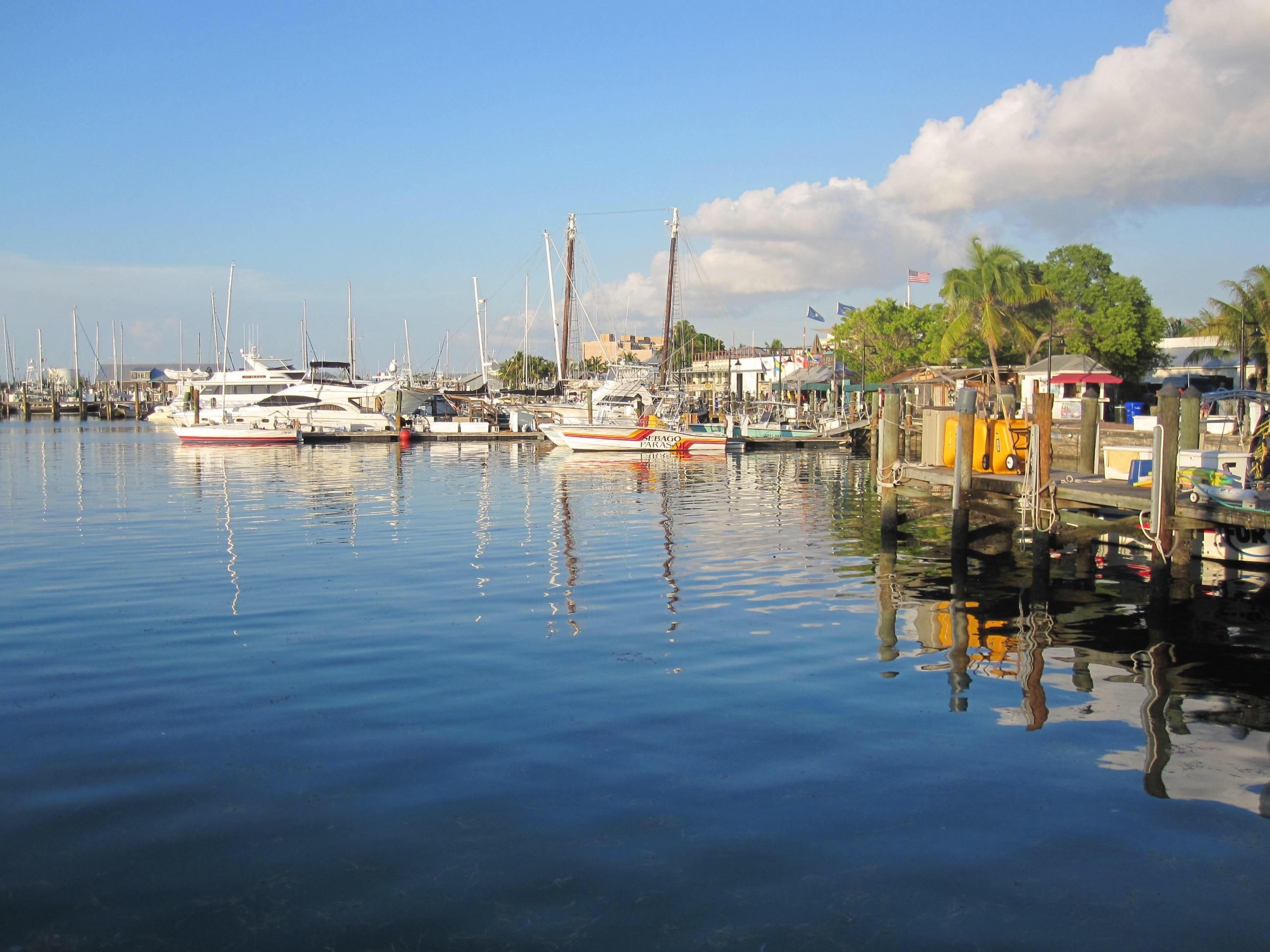 Découvrez Key West Harbour et bullez au bord de l'eau ou adonnez-vous à différentes activités telles que les balades en bateau lors de votre séjour à Key West. Cette région fera le bonheur des amoureux de nature grâce à ses couchers de soleil, mais ravira également les gourmands avec ses bars. 