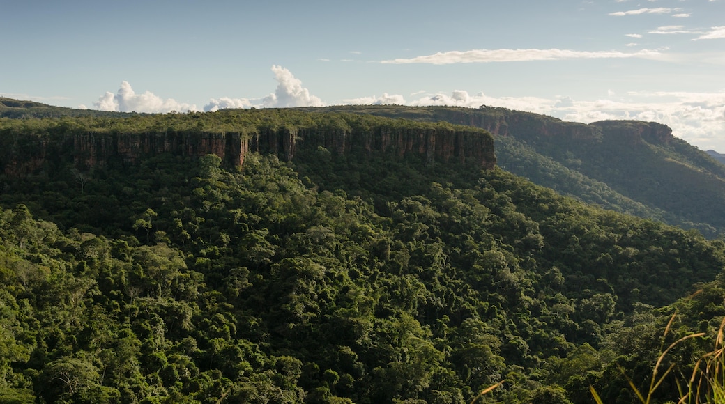 Rondonópolis