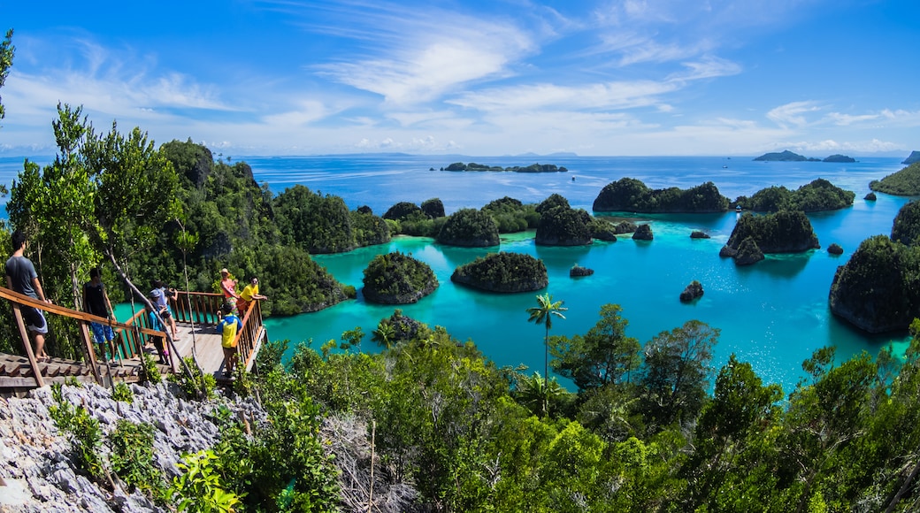 Raja Ampat Adaları, Batı Papua, Endonezya
