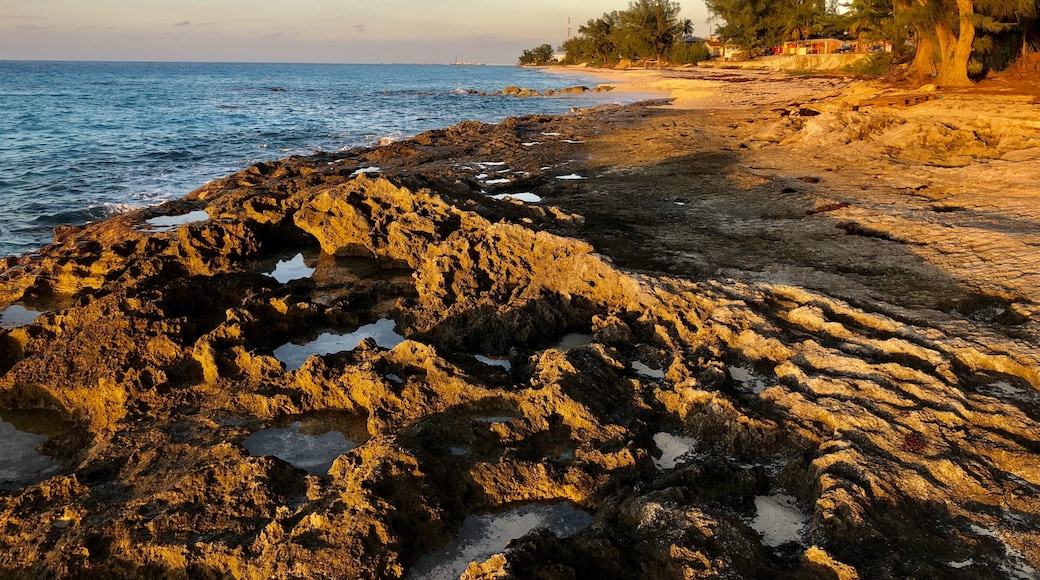 Bimini Islands