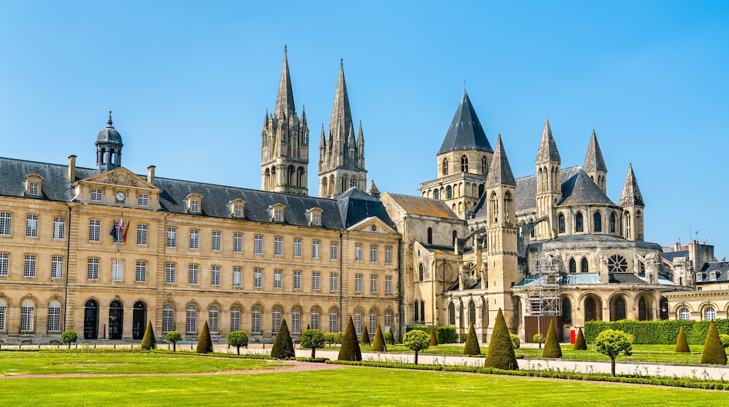 Saint-Etienne, Loire (bölge), Fransa