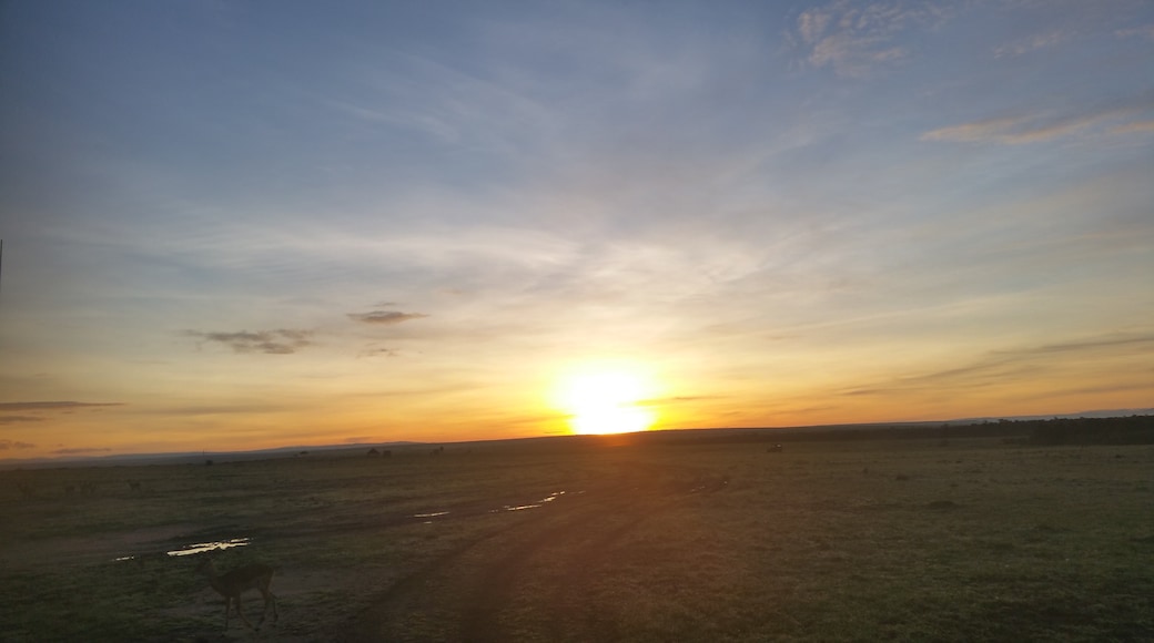 Maasai Mara National Reserve