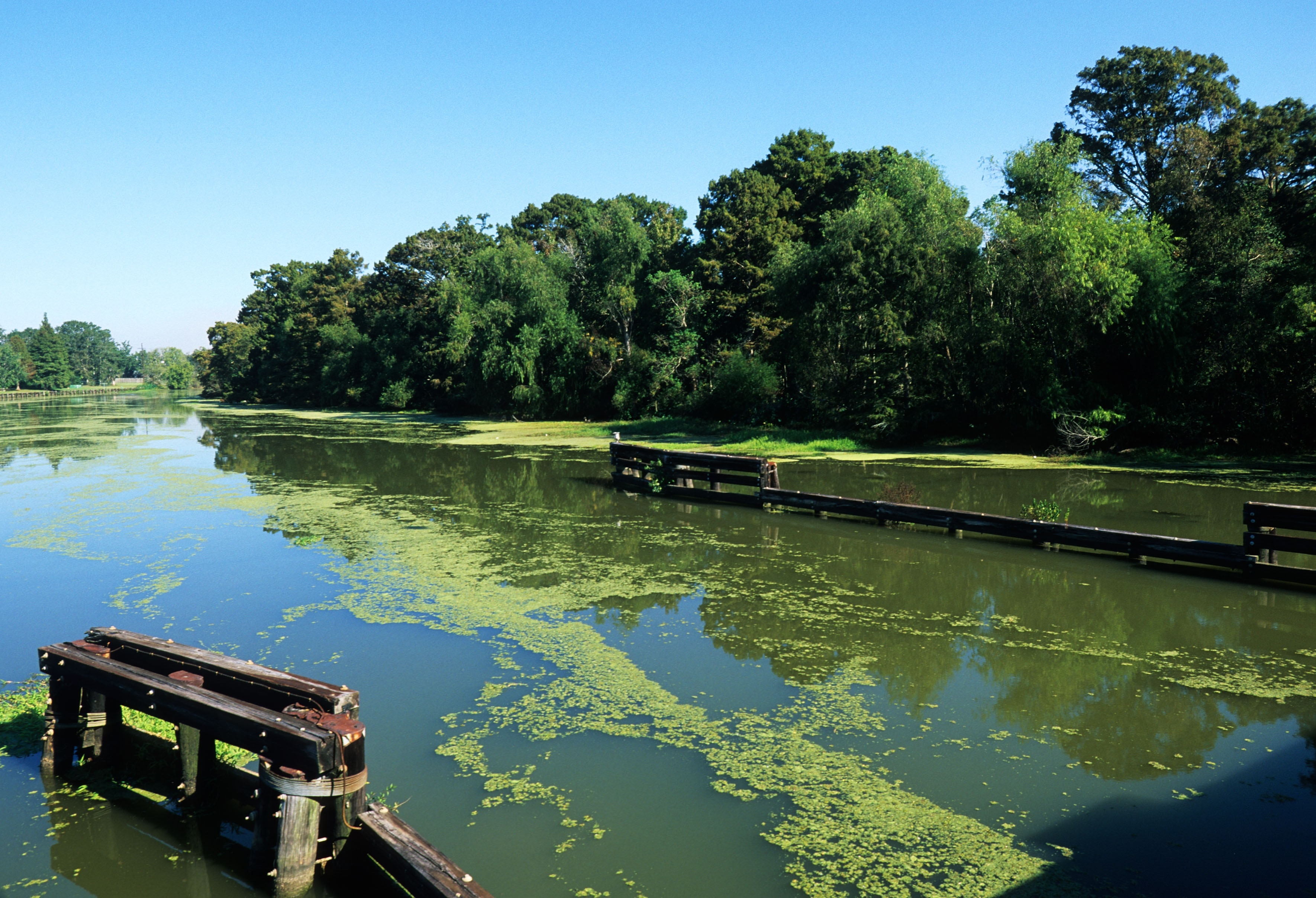 Bayou Teche Scenic Byway US Vacation Rentals More Vrbo   02a3872dd3aa6ab125c04b5499ef6c37 