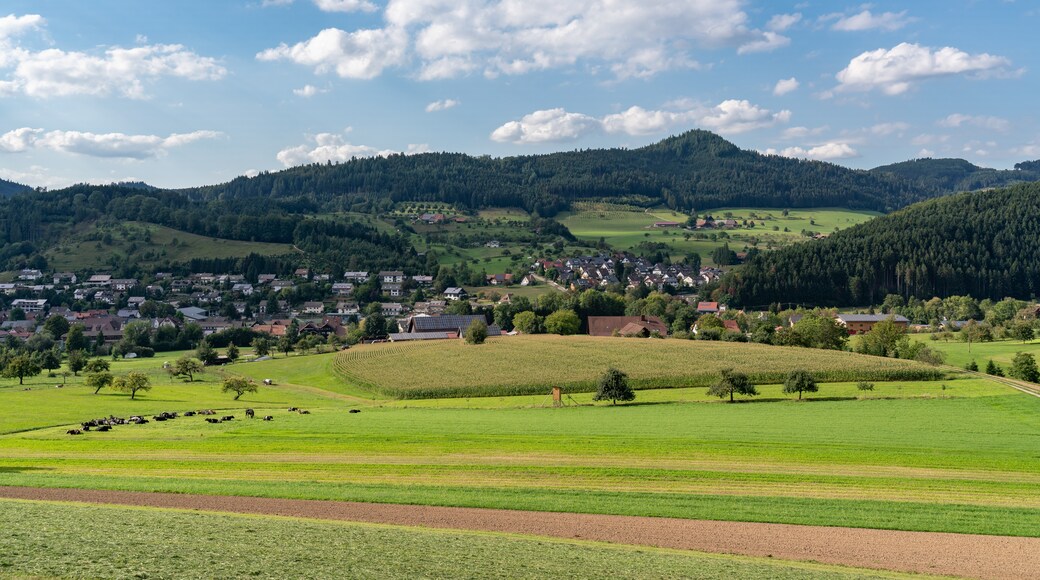 Zell am Harmersbach