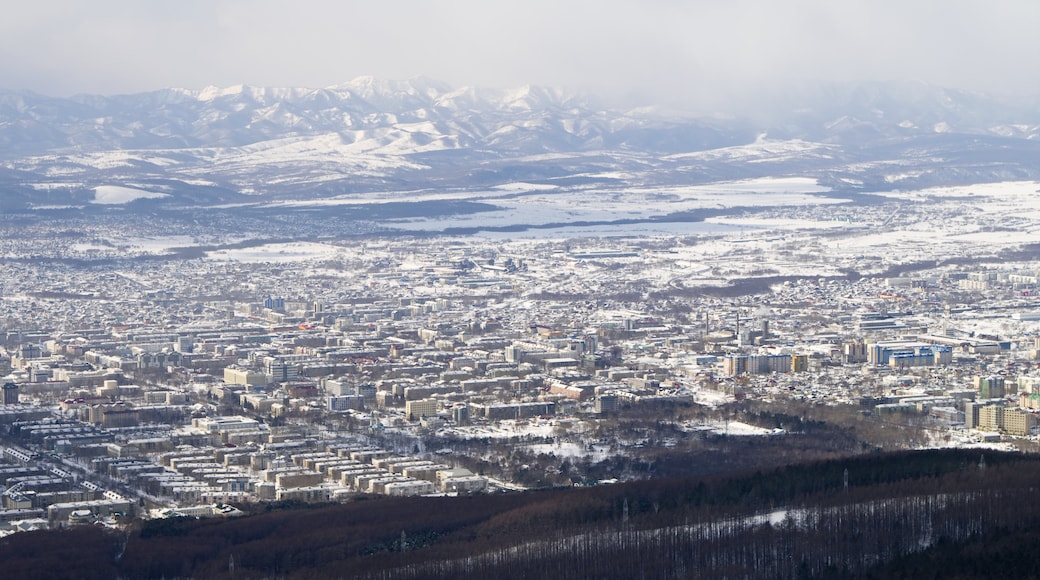 Vùng Sakhalin