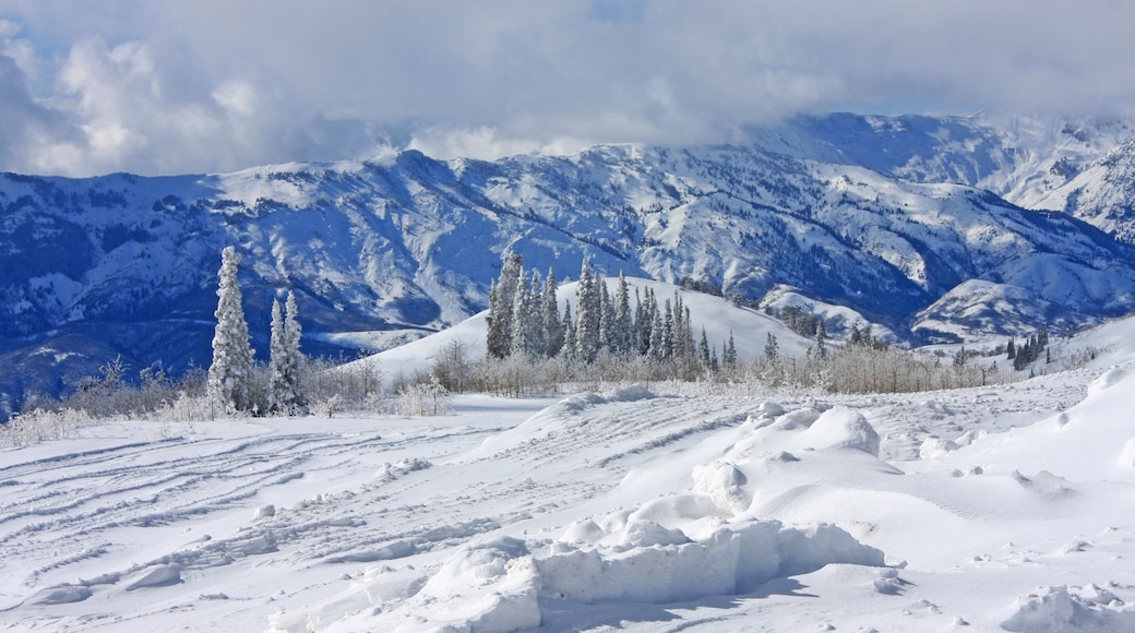 Parque estatal Wasatch Mountain