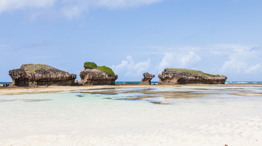 Central Kenya Coast