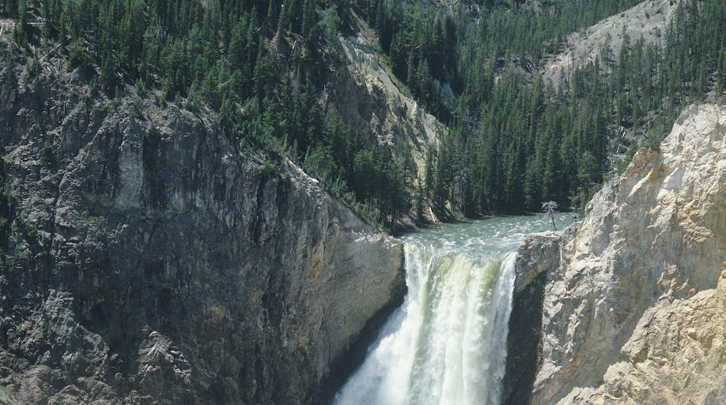 Lower Yellowstone Falls