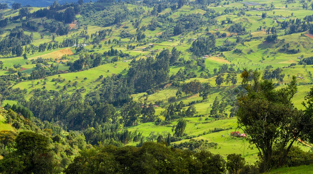 Cundinamarca