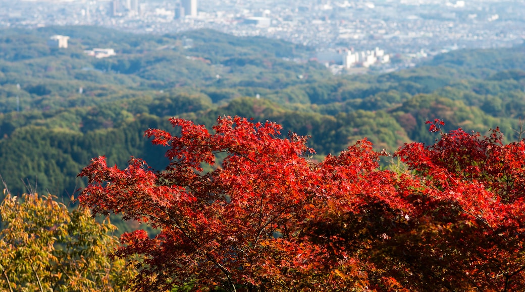 明治之森高尾國定公園