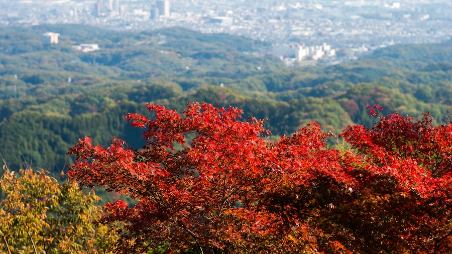 Gunung Takao