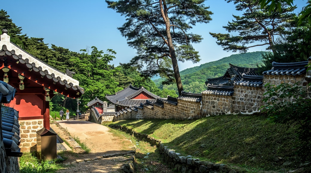 Jangpjeong, Gyeonggi, Dél-Korea