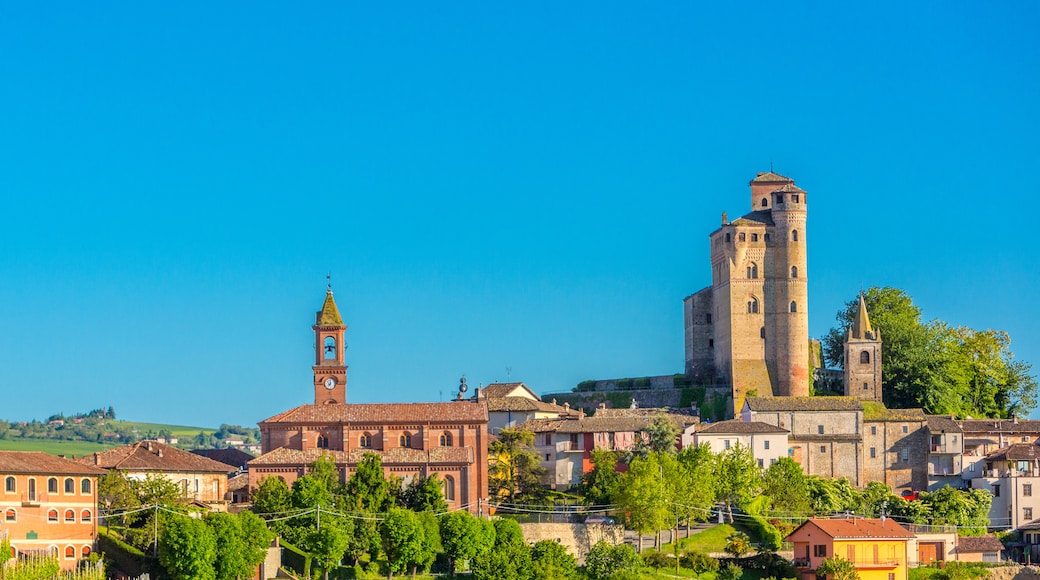 Barolo Wine Area