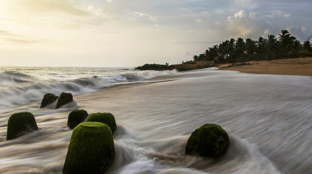 Mangaluru