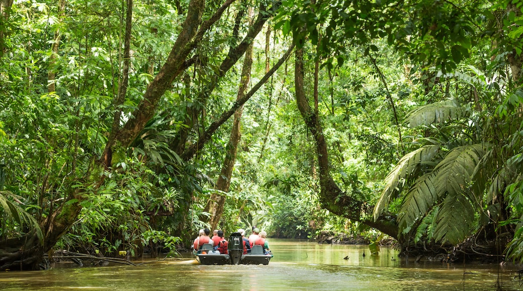 Limón, Limón (provincia), Costa Rica