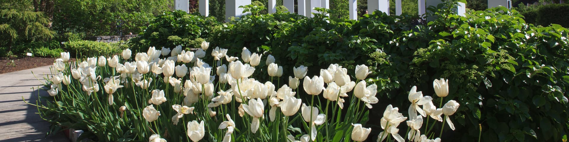 赫尔希, 宾夕法尼亚, 美国