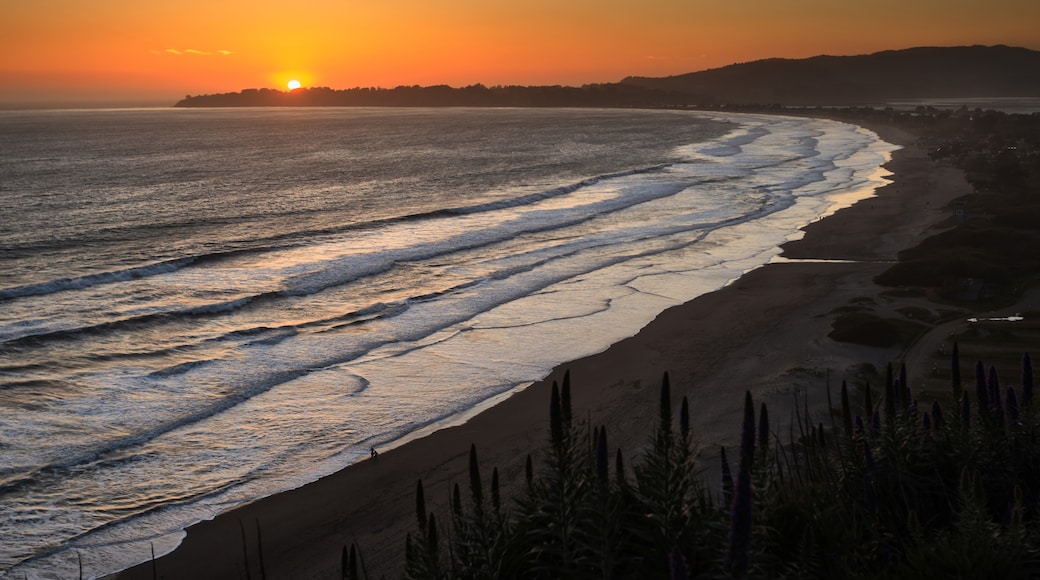 斯汀森海灘, 加利福尼亞, 美國