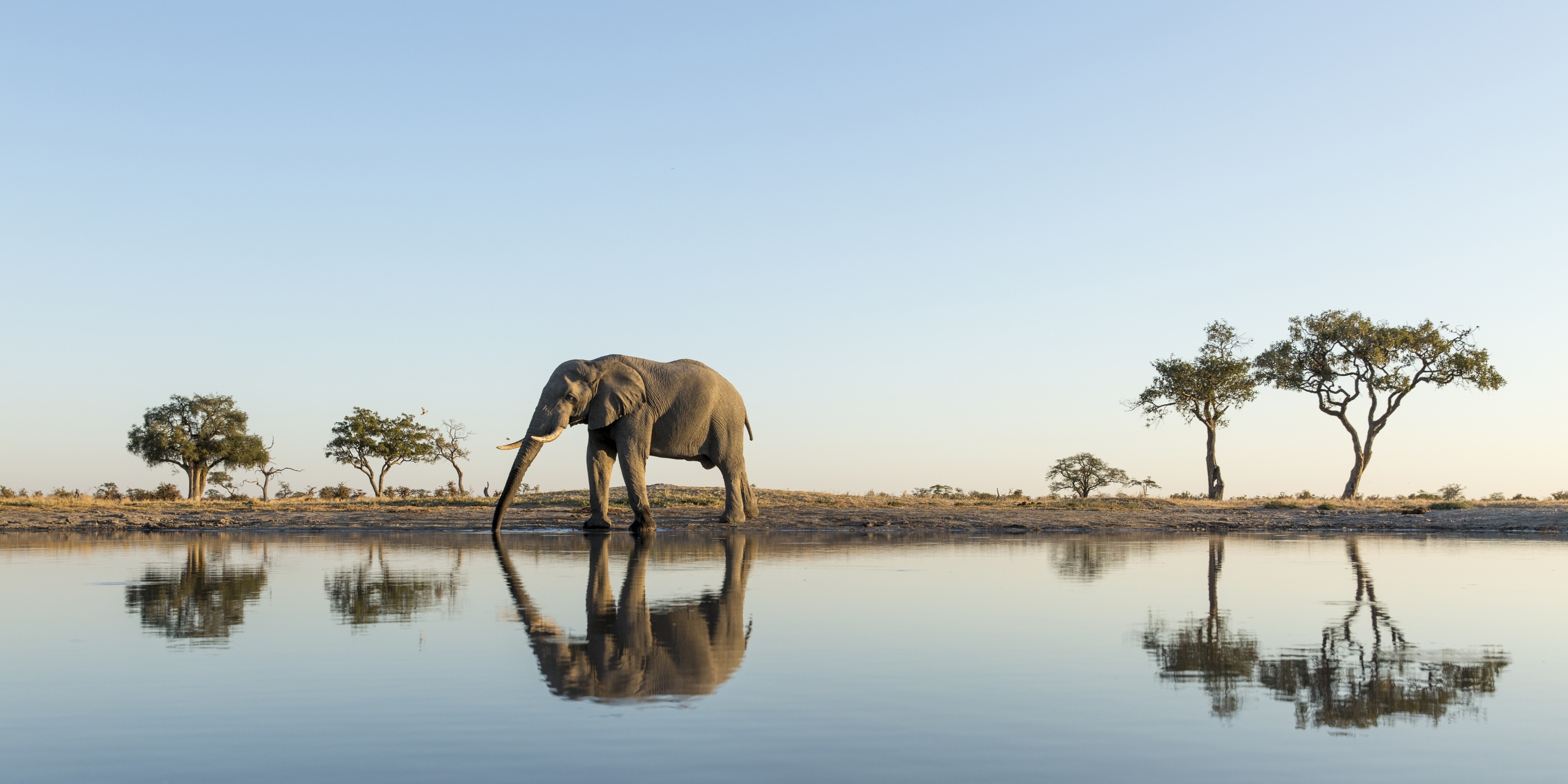 Visitez Parc National de Chobe : le meilleur de Parc National de Chobe, District de Chobe pour 2024 | Expedia