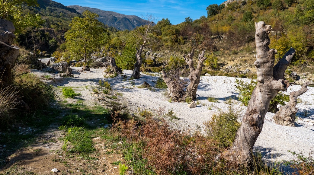 distretto di Tepelenë