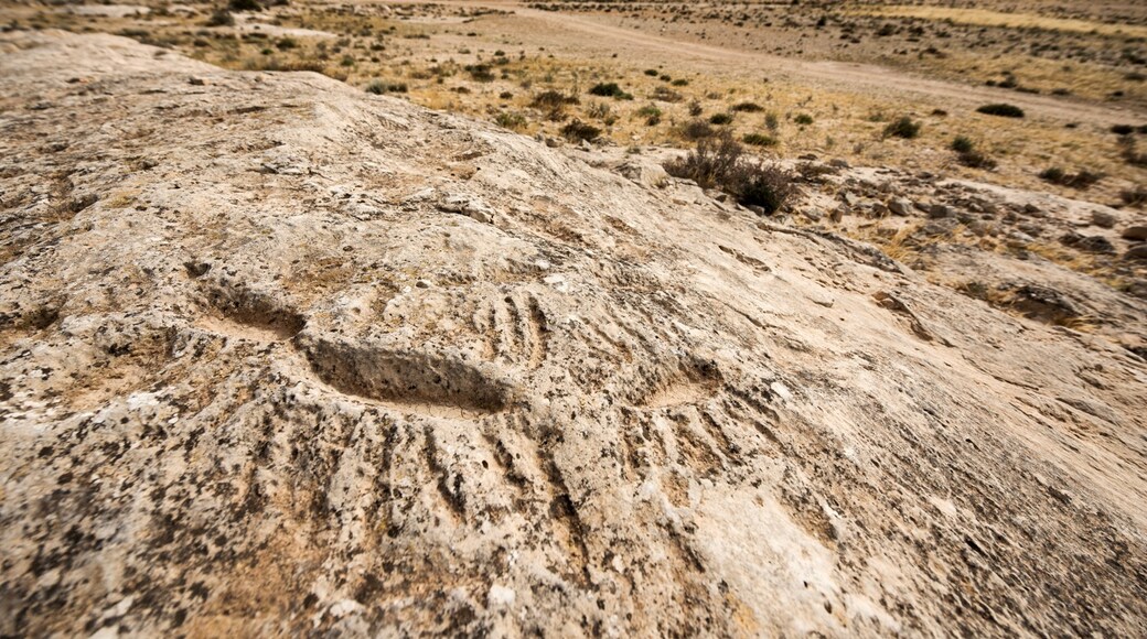 Sito Storico Al Jassasiya Rock Carvings