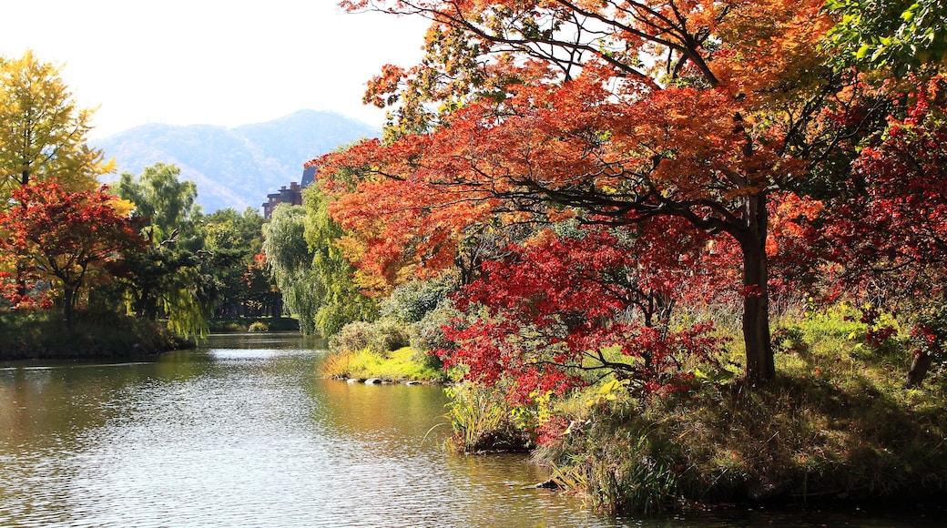 Nakajima Park, Sapporo, Hokkaido, Japan