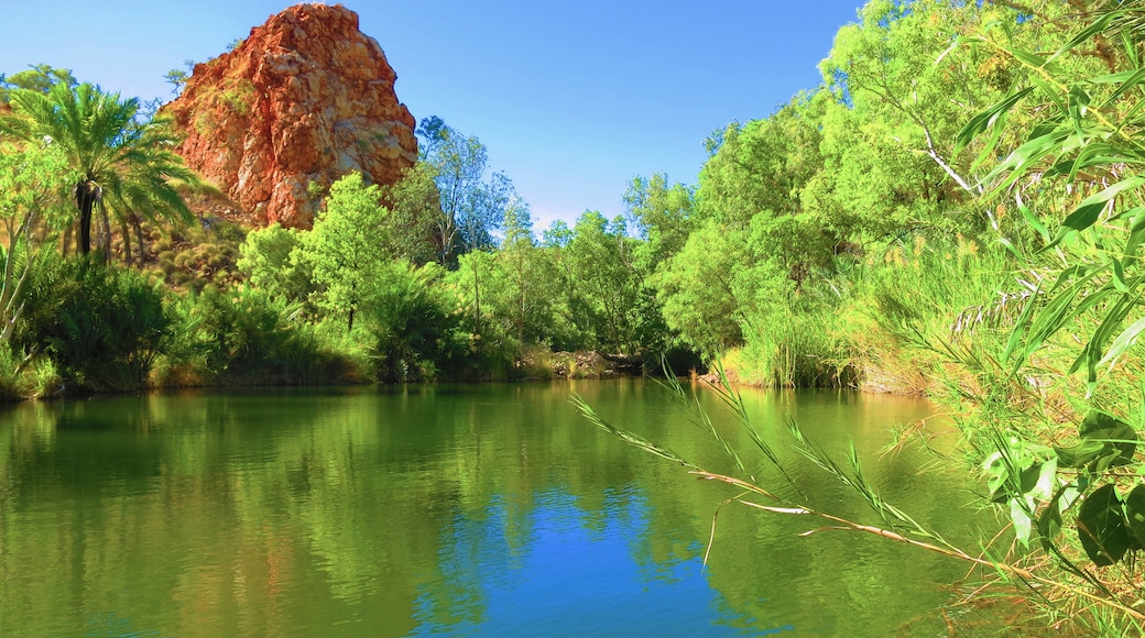 Halls Creek