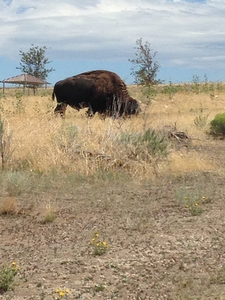 グレート ソルト湖