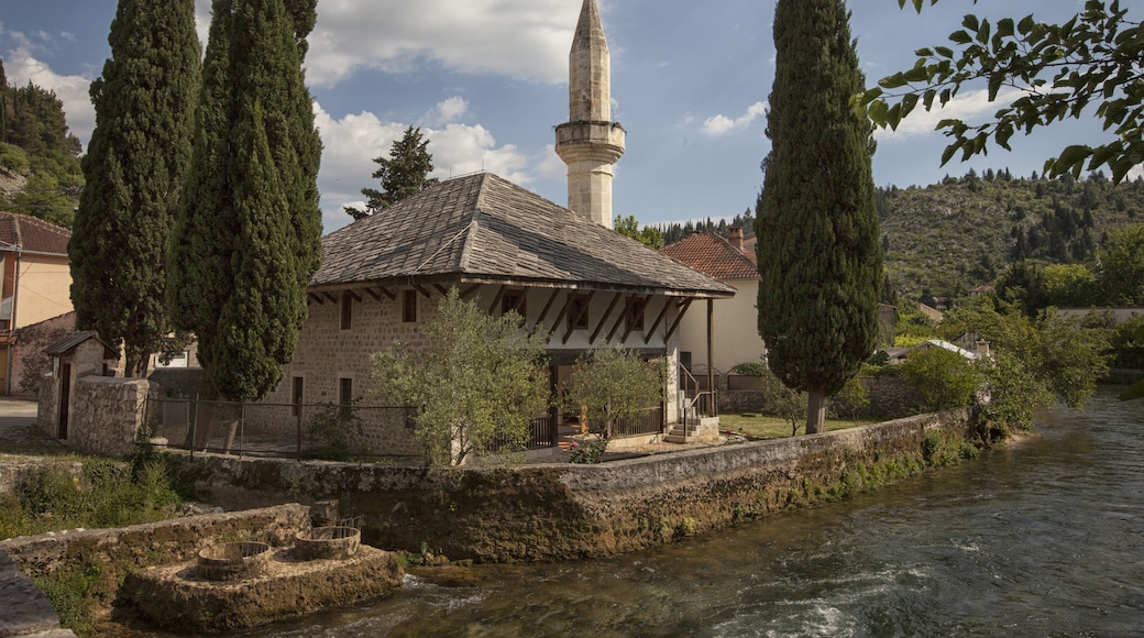 Herzegovina-Neretva Canton