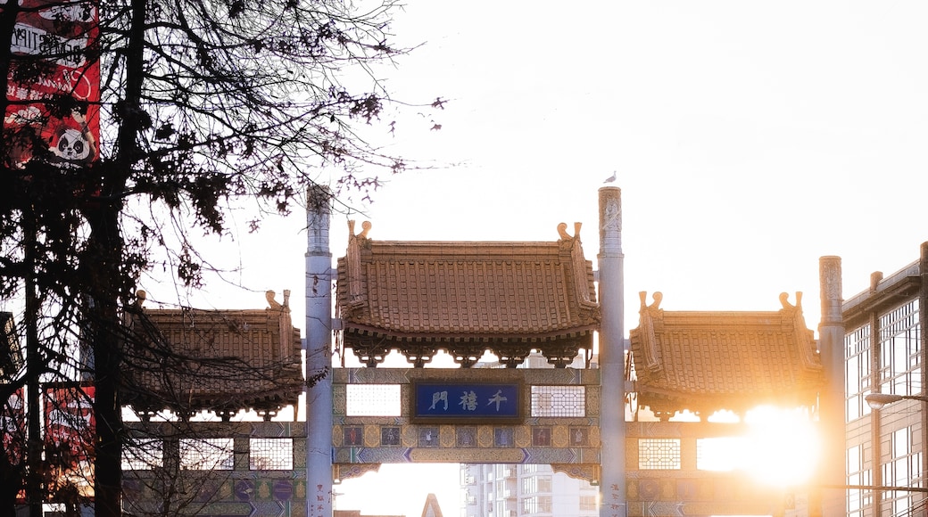 Chinatown Millennium Gate