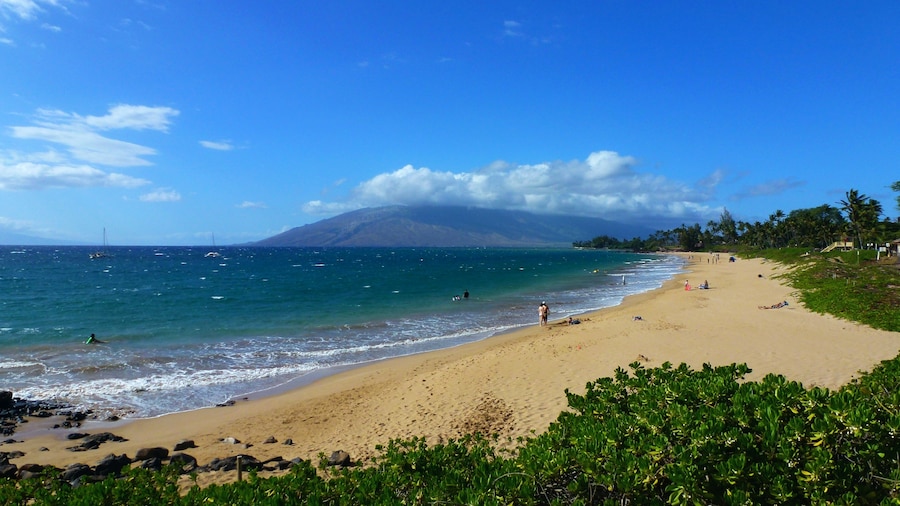 Kamaole Beach Park 3