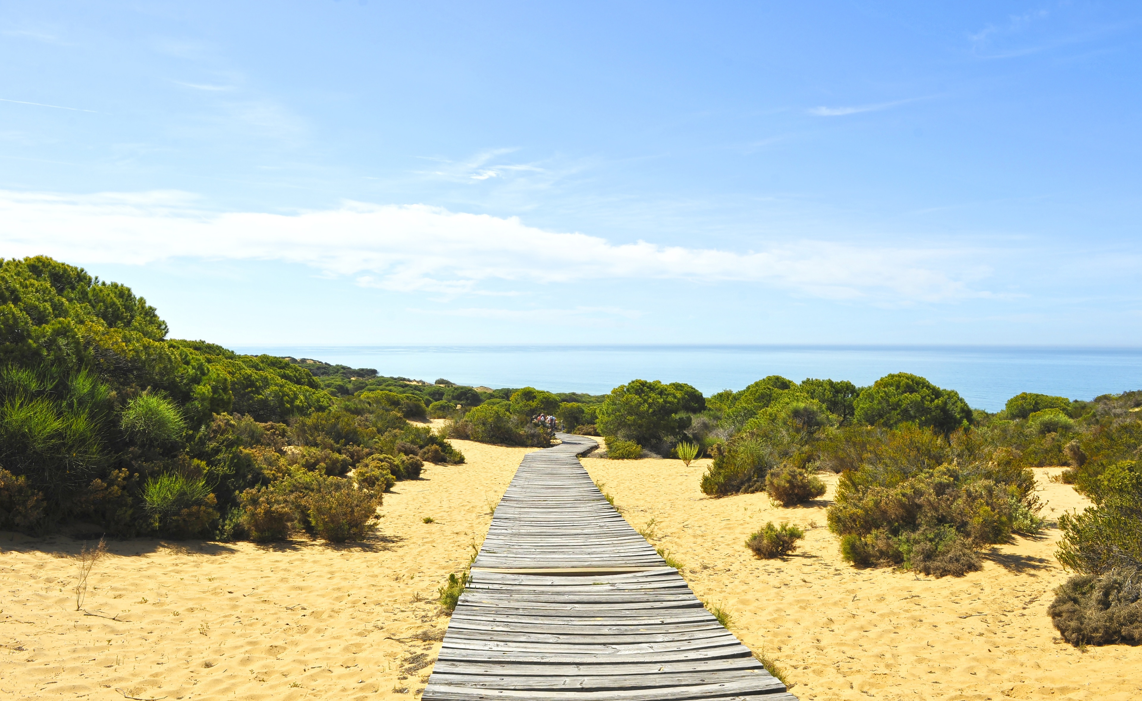 <h2>Best places to stay for families</h2>