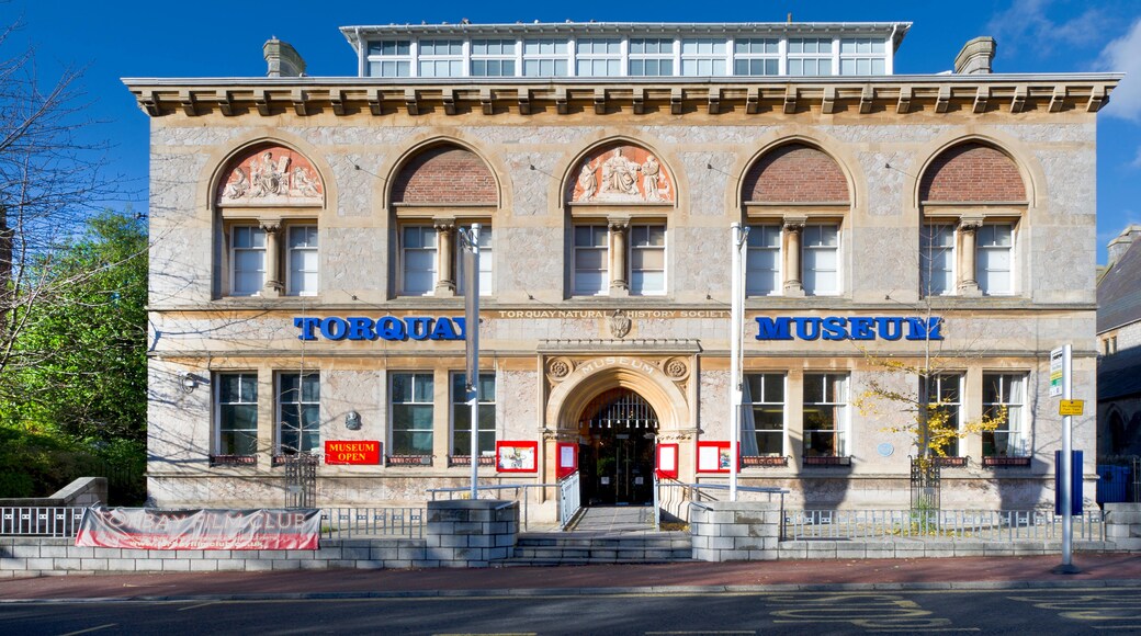 Torquay Museum