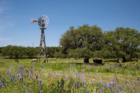 Kerrville