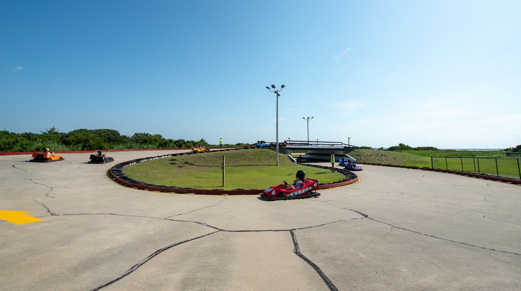 Full Throttle Speedway, Nags Head, North Carolina, United States of America