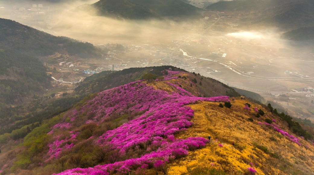 Yeongchwisan Mountain, Yeosu, South Jeolla, South Korea